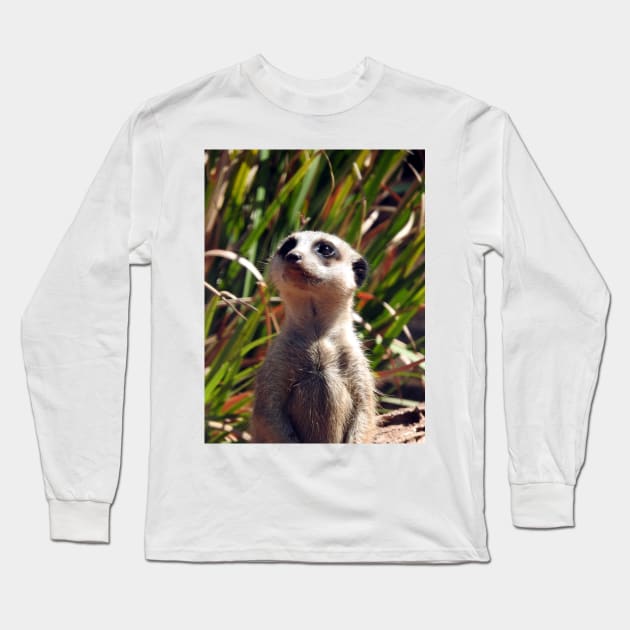 Meerkat Long Sleeve T-Shirt by kirstybush